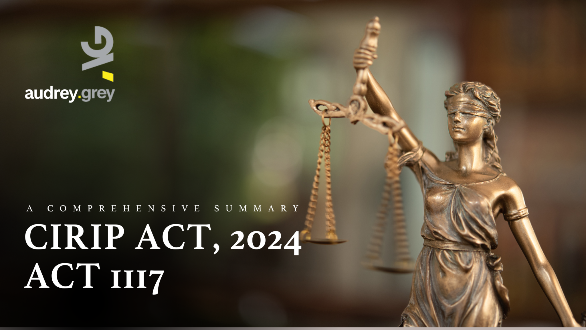 Summary of the CIRIP Act, 2024 (Act 1117)