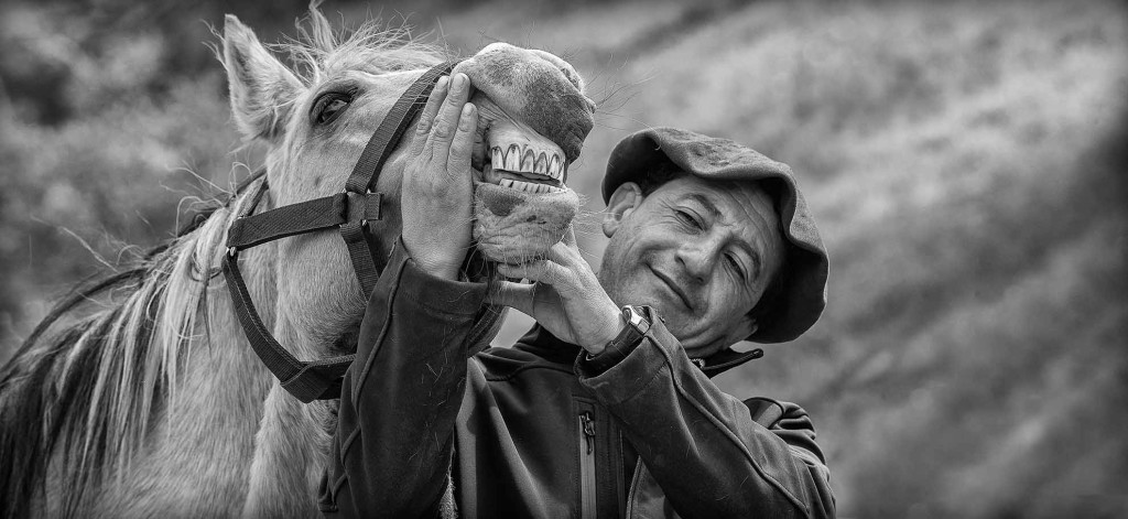 Gaucho y su Caballo