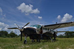 safari plane